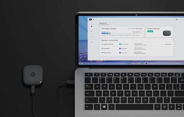 Synology BeeDrive 2TB