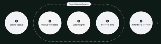 Synology DP7200 Active Protect 12 Bay