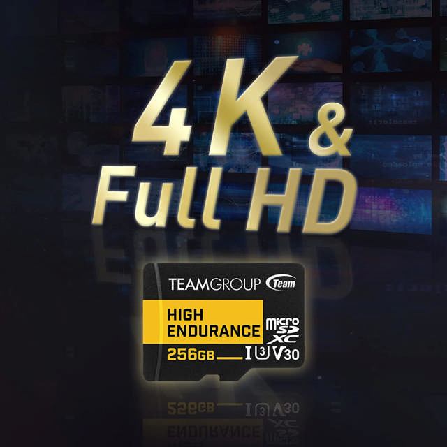 Team ROUP HIGH ENDURANCE 256GB Micro