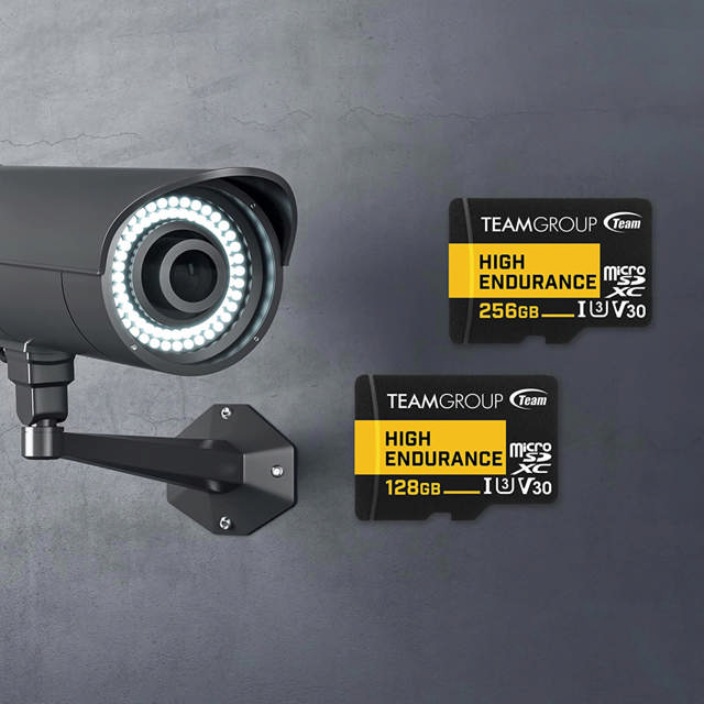 Team ROUP HIGH ENDURANCE 256GB Micro