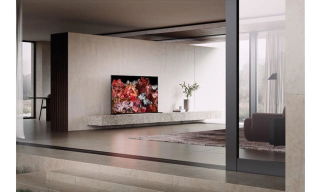 Sony Bravia X95L 65
