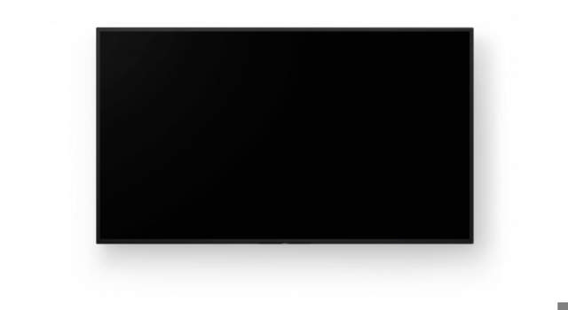 Sony Bravia BZ40L 55