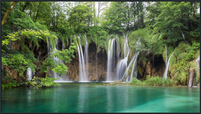 Panasonic TH-50EQ2W 50