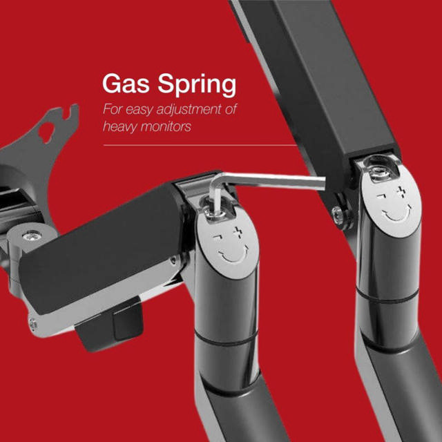 Shintaro Dual Swivel Gas Monitor Arm