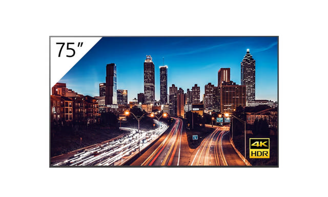 Sony Bravia EZ20L 65