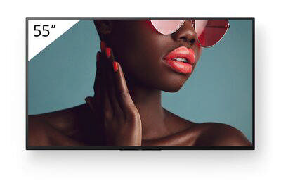 Sony Bravia BZ40L 55