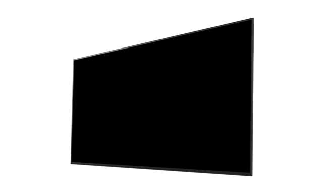 Sony Bravia BZ40H 75
