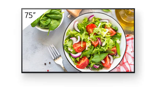 Sony Bravia BZ35L 75